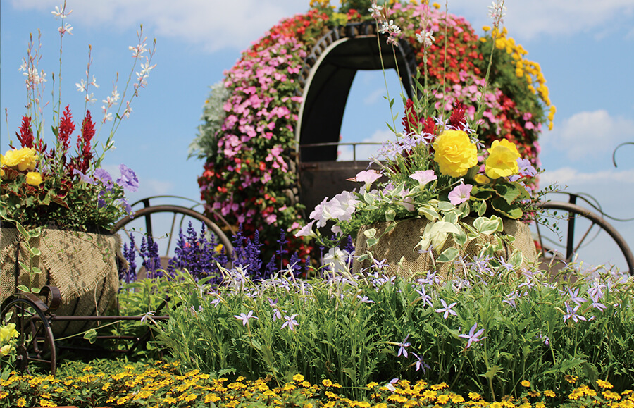 ガーデンエリア